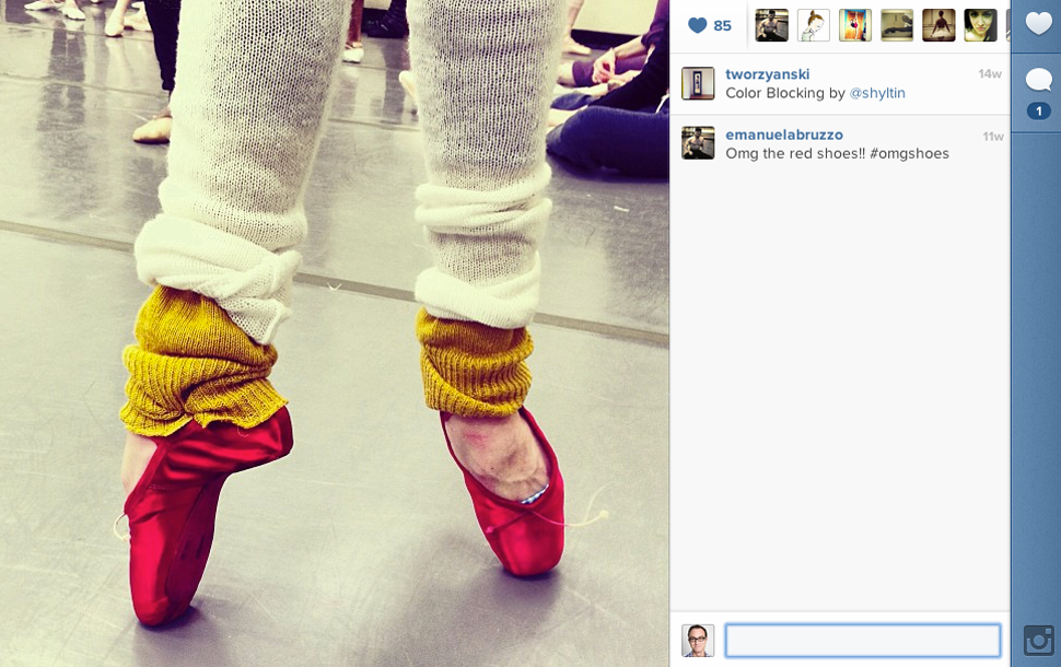 Are Ballerinas Dog or Cat People? Instagram and the New York City Ballet